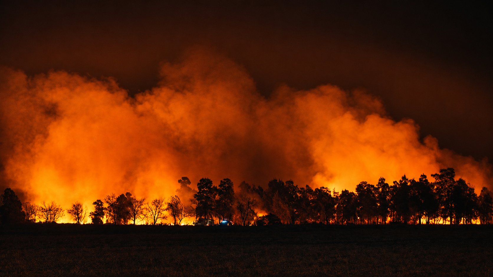 Wildfire at night