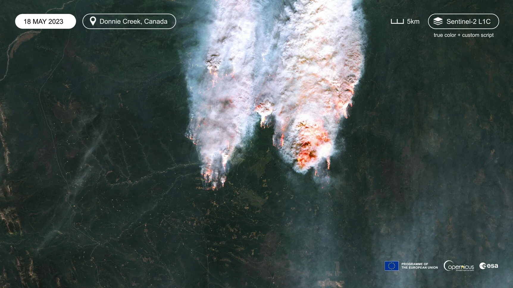 Satellite view of wildfire